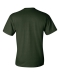 gildan_2300_forrest_green_back_2.jpg