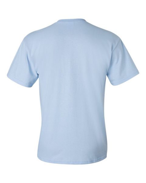 gildan_2300_light_blue_back.jpg